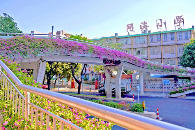 A romantic flower gallery to enjoy in Foshan