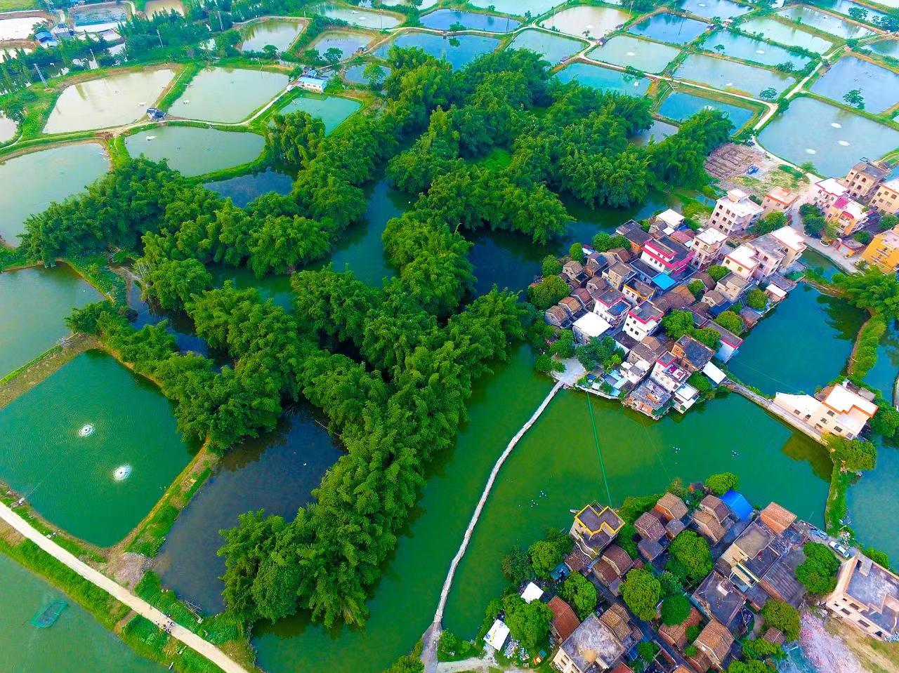 佛山璜矶村 佛山市文化广电旅游体育局供图.jpeg