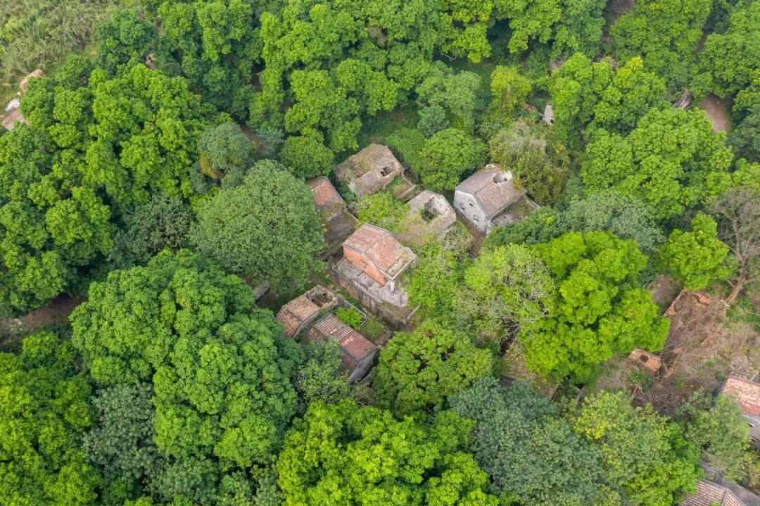 600-year ancient village tucked away in Xiqiao Nanhai