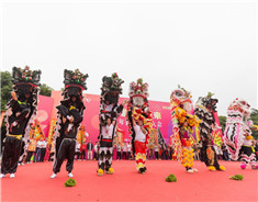 Grand celebration of lion dance held in Yanbu, Nanhai