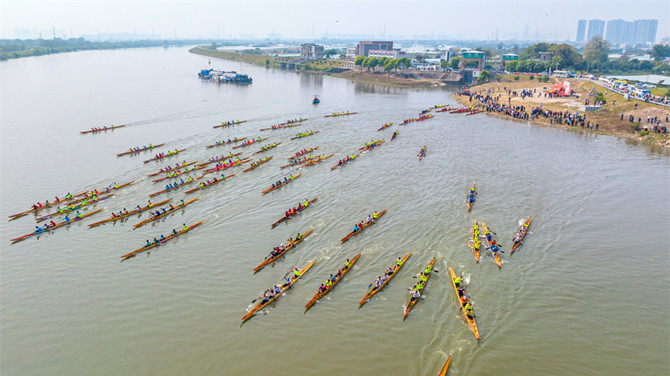 Dragon boat race to celebrate Longtaitou Day in Shunde, Foshan