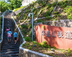 Qingming Festival | Recommended destinations to enjoy spring outings in Foshan