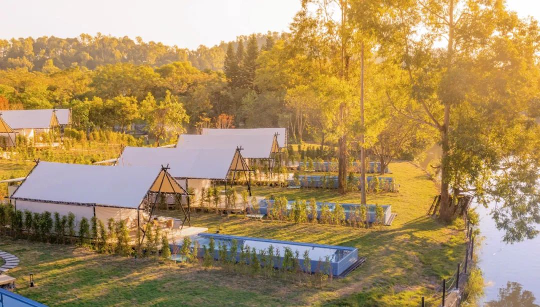 Enjoy a cool summer in Nanhai Bay Forest Ecological Park