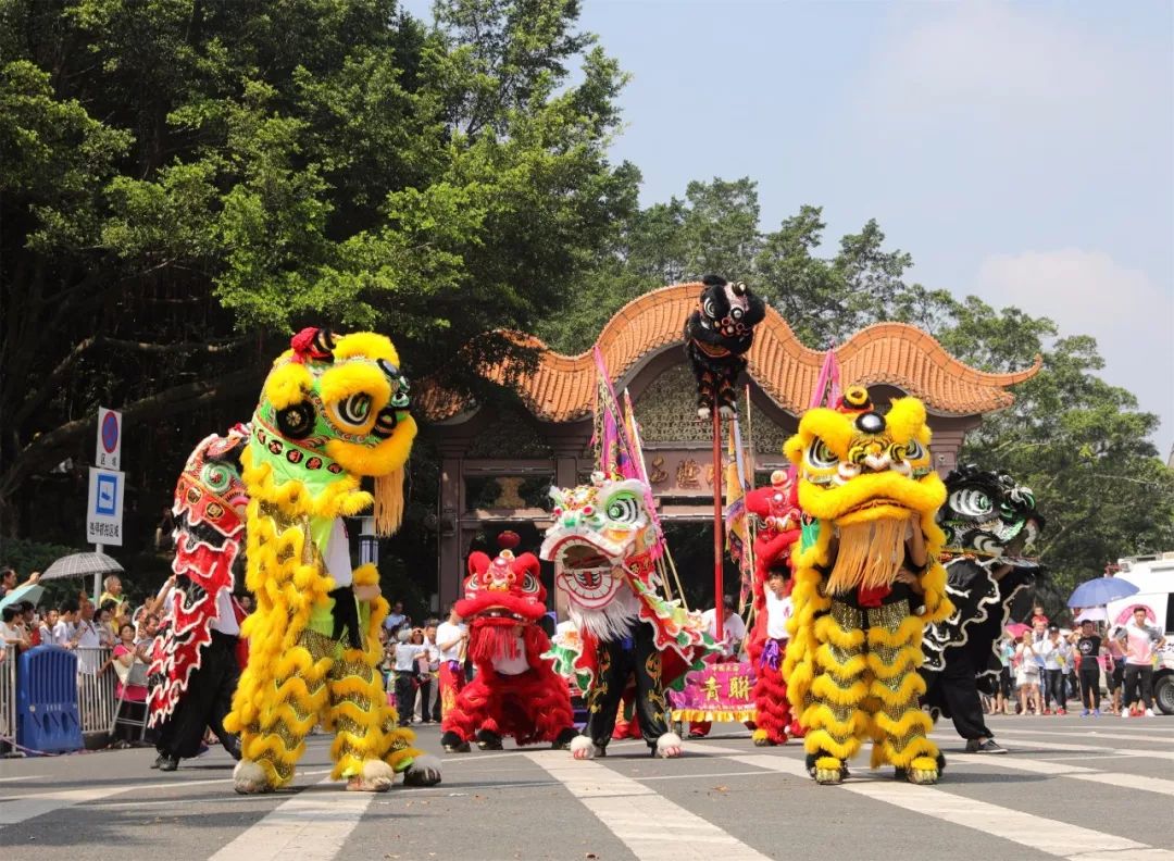 Film of Foshan Lion Dance Staged at the Chinese Film Festival in South Africa