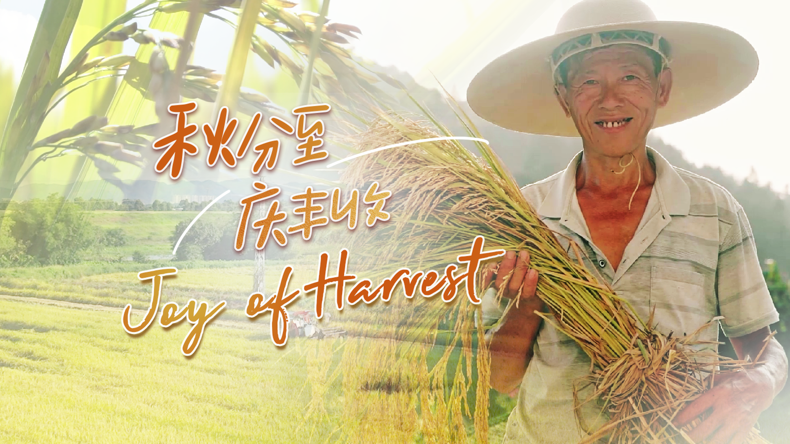 The joy of harvest in Foshan