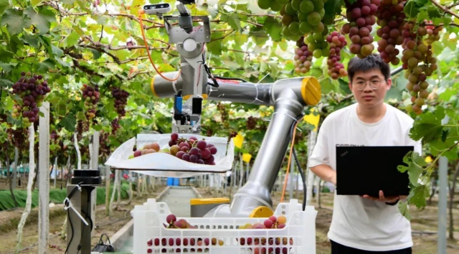 Application scenarios of robots continue to expand in China