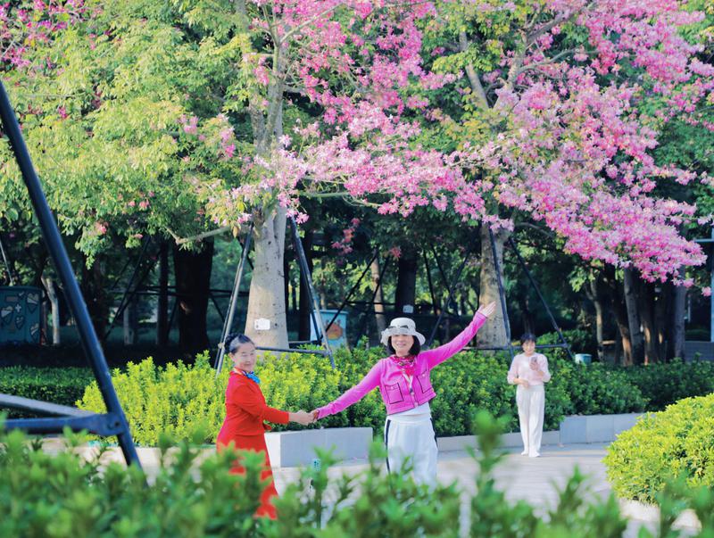 Capture Winter&#39;s Pink Romance in Chancheng