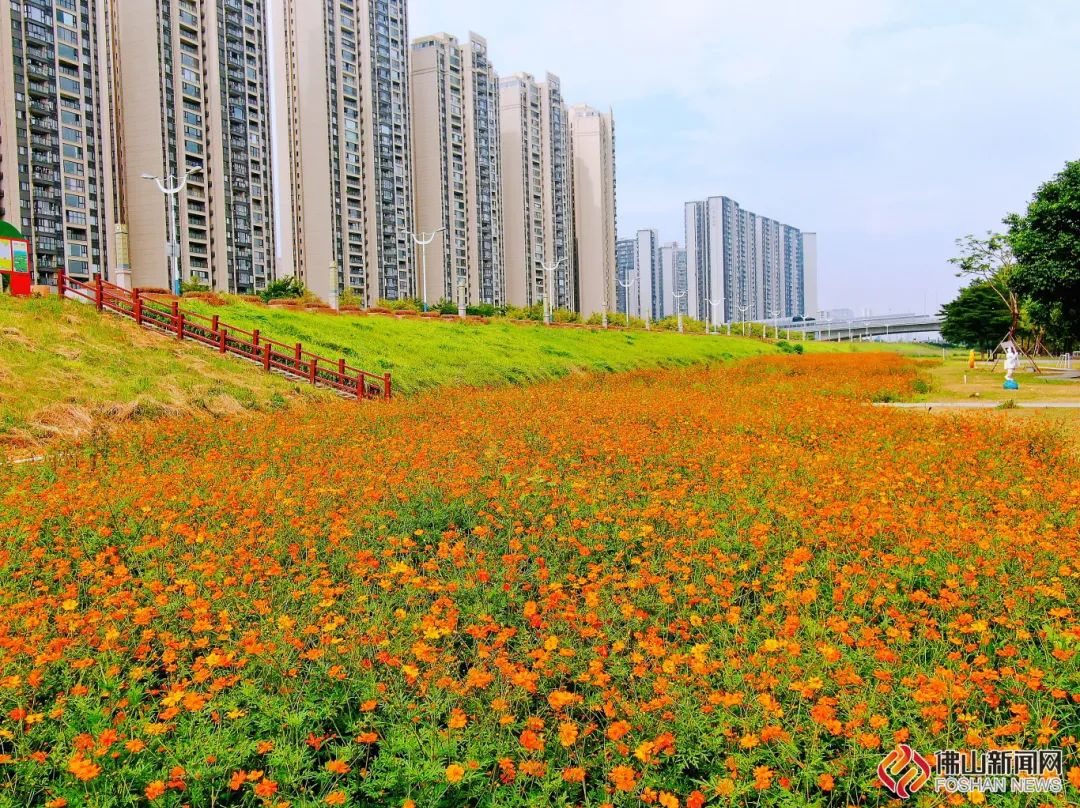 绿岛湖湿地公园